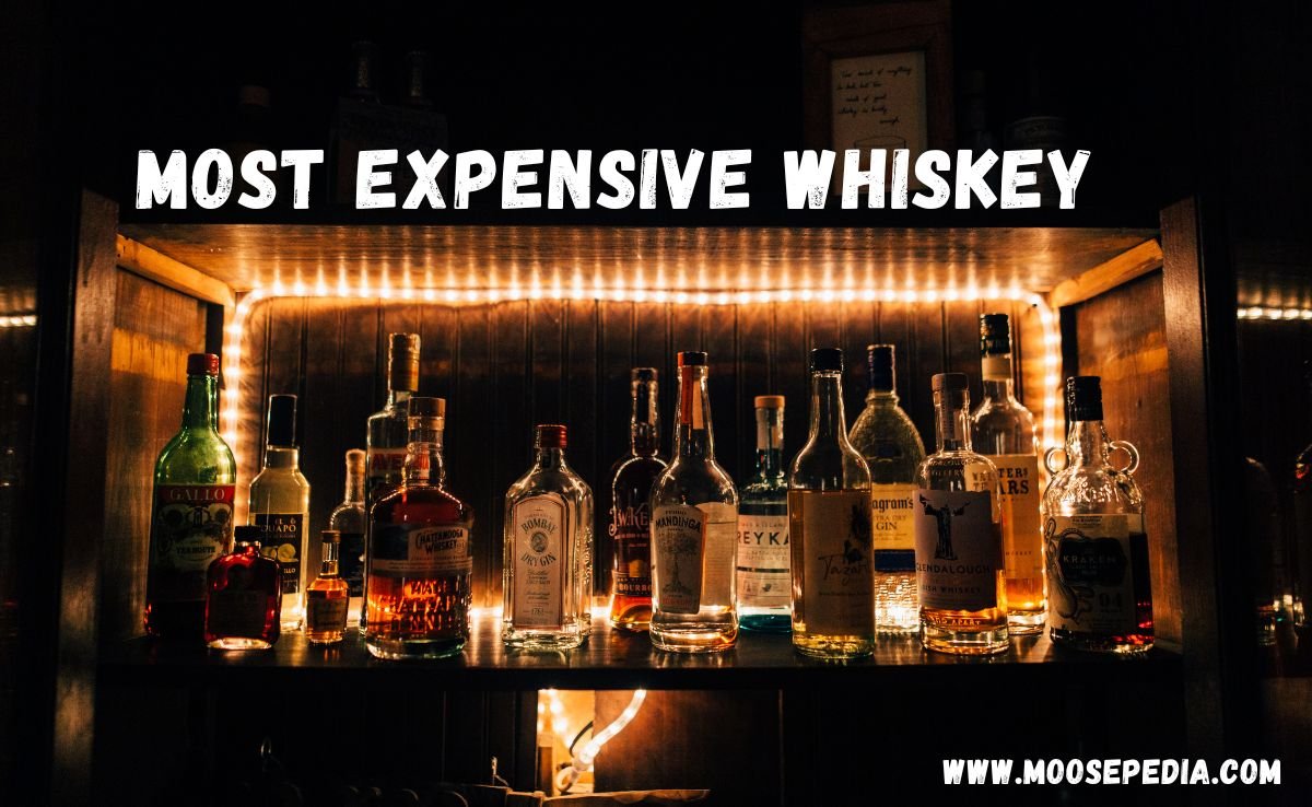 Here You Know Top 10 Most Expensive Whiskey 