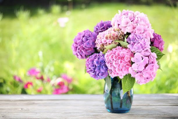 Stunning Preserved Hydrangea Bouquets: Long-Lasting Beauty for Your Home or Event